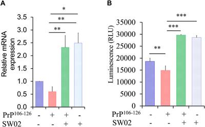 Assessment of the therapeutic potential of Hsp70 activator against prion diseases using in vitro and in vivo models